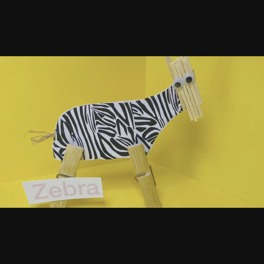 Zebra